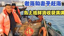 老海和妻子赶海，岛上海水退去捡半桶紫菜，挑3斤蛎子肉收获满满