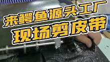 工厂的老师傅切鳄鱼原皮，快来数数能切几条皮带吧！#鳄鱼养殖场 #源头工厂 #皮带 #皮具 