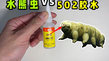 给地球最强生物水熊虫滴上502！会发生什么事？