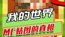 我的世界：那些MC贴图的真相，MC里的像素画都是世界名画？