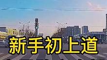 《智驾驶手册》转弯思路方向操作 #新手初上道