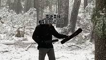 一个人的雪地森林露营#露营 #户外 #野外生存 #户外露营#雪 