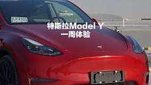 【大锤体验】特斯拉 Model Y 提车一周体验 #特斯拉