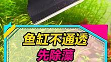 别用手抠，更别用舌头！！！#鱼缸除藻 #水族 #水草缸 #观赏鱼 