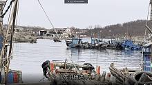 码头新上来的野生海鲜，卖的很快，希望疫情早日结束