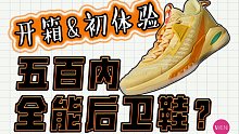 有人说它是国产“GT CUT”？五百内全能后卫鞋？闪电9开箱&实战初体验