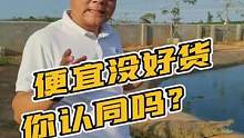 一分钱一分货，你认同吗？#鳄鱼养殖场 #源头工厂 #鳄珍