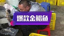 爆款金鲳鱼干刚推出就爆单，加班加点打包发货，感谢大家支持#渔小夫创业 #90后创业 #锋悦海味金鲳鱼