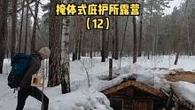 森林建一座掩体式庇护所木屋露营生活（12）。#木屋建造 #营地 #户外生活 #木屋 #露营 #慢生活