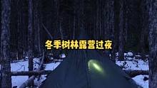 冬天带着狗子户外树林露营过夜。#户外 #户外露营 #户外生活 #冬季 #户外野餐 