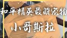 这宠物太可爱了吧！#和平精英#刺激战场国际服#绝地求生