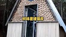 户外树林中建造一座玻璃微型房子。#木屋 #营地 #户外 #木屋建造 #户外生活 #户外露营 