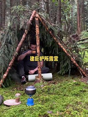 独自在德国森林用树枝建一个庇护所露营野餐，吃野生板栗。#野营 #野外 #森林 #露营 #户外 #户外