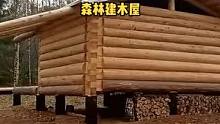 森林中建一座生活木屋。#森林 #木屋建造 #木屋 #野外 #户外 #营地 