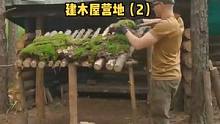户外树林建木屋营地庇护所（2)#野营 #露营 #户外露营 #营地 #野营 #户外生活 #木屋建造 #