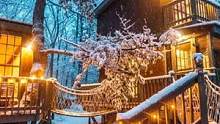 森林中的神奇树屋，外面大雪纷飞，室内温暖如春，一切美得像童话