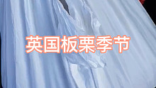 老视频！这英国能整的野味儿不少，不同季节有不同的花样。10月份是板栗自由的时候。