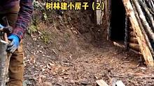 冬季露营树林建造生存小房子（2），狗狗真聪明！#营地 #户外 #野外 #木屋建造 #木屋 #户外生活