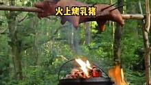 户外树林露营一天，火上烤乳猪。#露营美食 #露营 #野营 #户外生活 #户外 #野外 #户外野餐 #