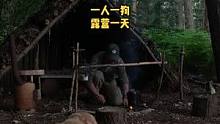 一人一狗户外树林雨中露营一天，放松！#户外露营 #露营 #户外生活 #户外 