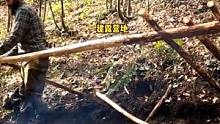 丛林工艺技能，户外庇护所露营，篝火烹饪。#户外 #露营 #户外露营 #营地 #野营 #野外 #