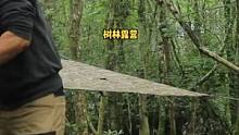 在多雨的树林用帆布帐篷露营过夜。#露营 #户外 #户外露营 #户外生活 