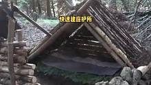两种野外快速建木屋庇护所的方法。#户外 #野营 #营地 #木屋建造 #木屋 #露营 #野外 #户外露