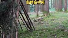 树林用树枝搭建临时庇护所。#野营 #户外 #营地 #户外生活 #露营 #户外露营 