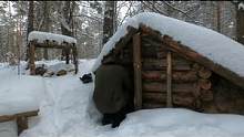 雪天徒步旅行，林中木屋过夜，晚上围着火炉做饭取暖#丛林探险 #户外 #冰天雪地任我行 #战斗民族