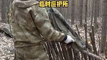 用树干做一个临时庇护所。#户外 #营地 #露营 #户外露营 #野营 #户外生活 #户外野餐 