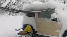 自驾游遇暴风雪，冰天雪地中点燃火炉，一边做饭一边看雪
