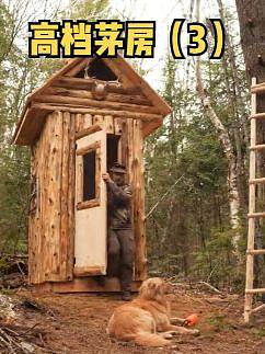 户外树林中建一个高档茅房（厕所）（3）。#木匠 #树林 #户外 #野外 #木屋 #木屋建造 #木工 