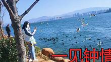 小伙在洱海边看海鸥，对一个女孩子情有独钟，一会母女俩都不见了