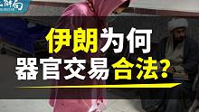 【正解局】全球唯一器官交易合法国家：穷人拿命换钱，富人花钱续命