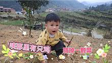 农村15个月放养萌娃，进菜地拔菜掏老鼠洞，把城里小孩羡慕坏了