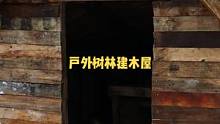 用回收的木托版户外树林建一座带壁炉的木屋庇护所。#户外 #露营 #户外露营 #户外野餐 #木屋 #木