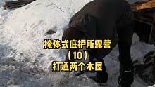 户外森林建一座掩体式庇护所木屋露营生活（10）。#雪地 #露营  #户外生活 #冬季 #慢生活 #户