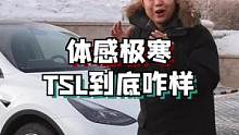 这一次，给特斯拉提前热了车，模拟一个有地库的用车环境#旅行大玩家 #遇见美好冬季