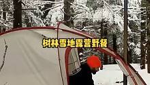 冬季树林雪地露营，柴火炉取暖，烤箱做披萨。#露营⛺ #户外露营 #户外 #户外野餐 #户外休闲 #户