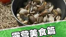 火枫的火锅在露营时，还可以煮海鲜，看看我的蚬子煮的怎样？原滋原味#露营 #火枫 #户外