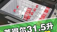 自驾时带上车载冰箱，保持食物的鲜美#车载冰箱 #英得尔车载冰箱 #露营