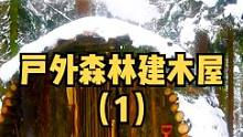 两人用时十六天户外森林建一座庇护所木屋（1）.#户外 #野营 #户外生活 #露营 #户外休闲 #木屋