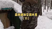户外森林建一座防空洞式木屋（11）。#野外 #露营 #户外生活 #户外休闲 #木屋建造 #木屋 #户