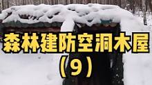户外森林建一座防空洞式木屋（9）。#野外 #露营 #户外生活 #户外休闲 #木屋建造 #木屋 #户外