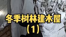 冬季户外树林中独自建小木屋庇护所（1）。#户外 #户外生活 #露营 #山里生活 #木屋 #木屋建造 