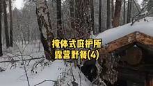 户外森林建一座掩体式庇护所木屋露营生活（4）。#户外生活 #露营  #木屋 #木屋建造 #慢生活  
