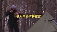 独自冬天户外树林帐篷露营野餐，柴火炉取暖。#露营⛺ #户外生活 #露营 #户外 #户外野餐 #户外露