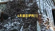 冬季4天时间在野外建造温暖木屋庇护所（1）。#露营 #慢生活 #户外生活 #野营 #木屋 #户外 #