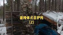 户外森林建一座掩体式庇护所木屋露营生活（2）。#户外生活 #露营 #野外 #木屋 #木屋建造 #慢生