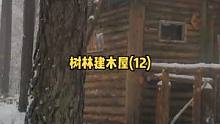 森林中建造一座木屋房子（12）。#森林 #露营 #露营⛺ #户外生活 #慢生活 #户外 #户外休闲 